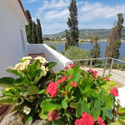 Skiathos Lagoterra Apartments Экстерьер фото